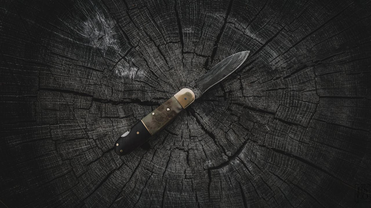 A sharp pocket knife displayed on a rugged, weathered tree stump outdoors.
